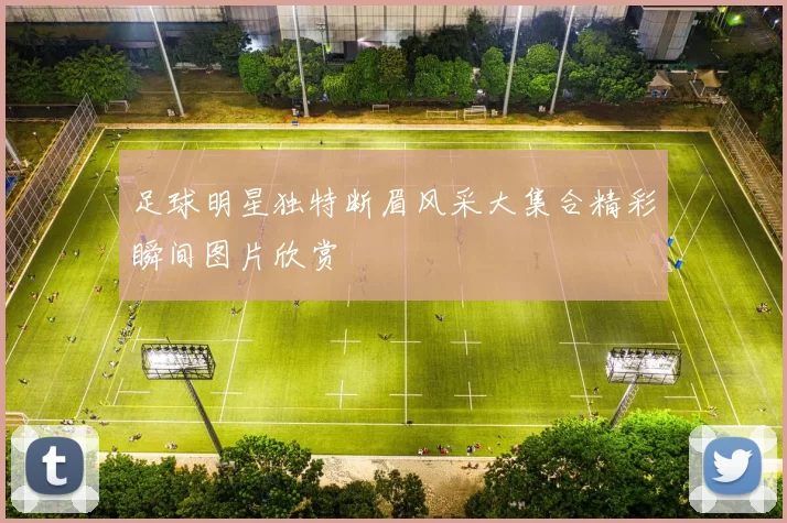 足球明星独特断眉风采大集合精彩瞬间图片欣赏