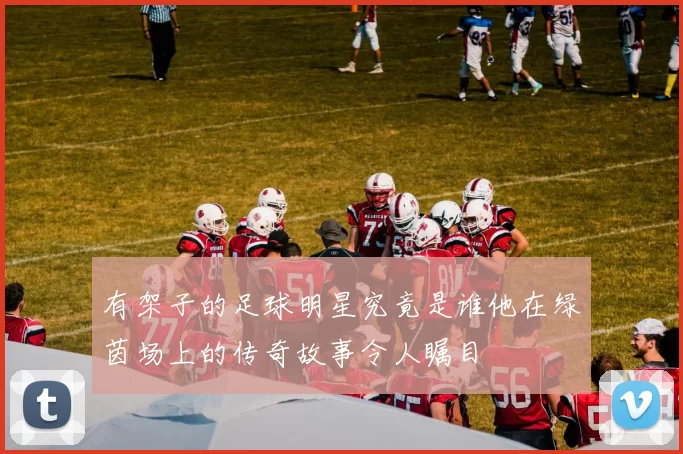 有架子的足球明星究竟是谁他在绿茵场上的传奇故事令人瞩目