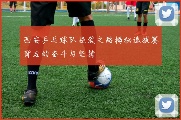 西安乒乓球队逆袭之路揭秘选拔赛背后的奋斗与坚持