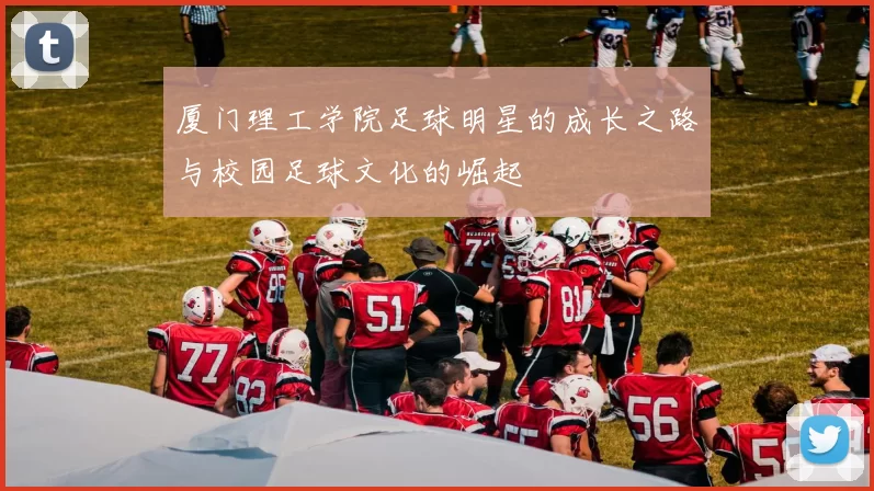 厦门理工学院足球明星的成长之路与校园足球文化的崛起