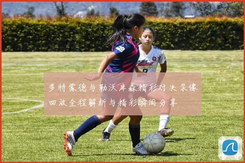 多特蒙德与勒沃库森精彩对决录像回放全程解析与精彩瞬间分享