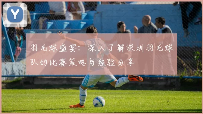羽毛球盛宴：深入了解深圳羽毛球队的比赛策略与经验分享