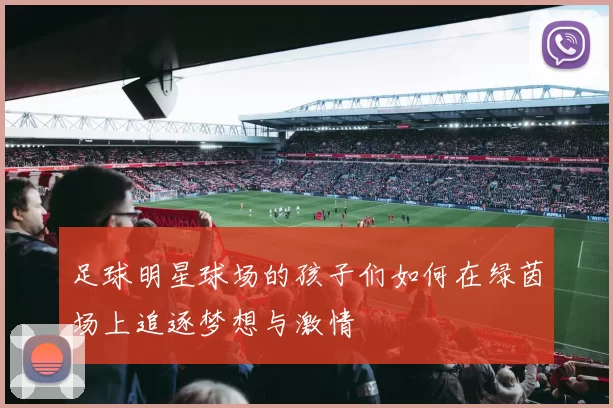 足球明星球场的孩子们如何在绿茵场上追逐梦想与激情