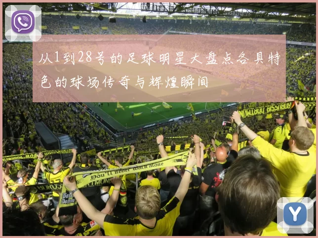 从1到28号的足球明星大盘点各具特色的球场传奇与辉煌瞬间