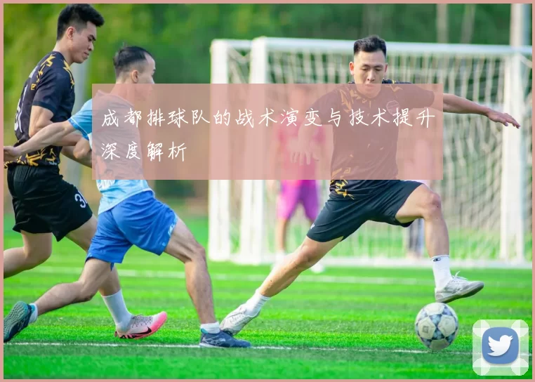 成都排球队的战术演变与技术提升深度解析