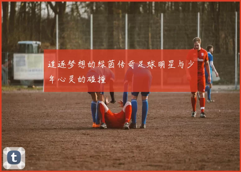 追逐梦想的绿茵传奇足球明星与少年心灵的碰撞