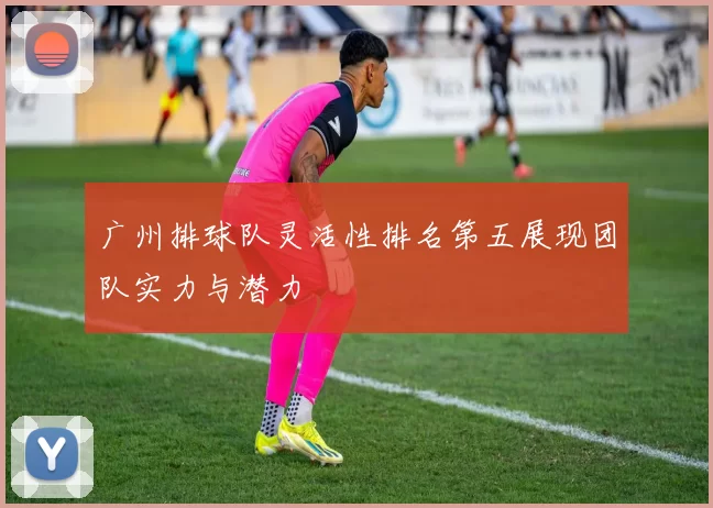 广州排球队灵活性排名第五展现团队实力与潜力