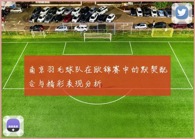 南京羽毛球队在欧锦赛中的默契配合与精彩表现分析