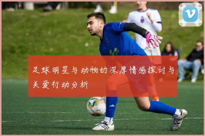 足球明星与动物的深厚情感探讨与关爱行动分析